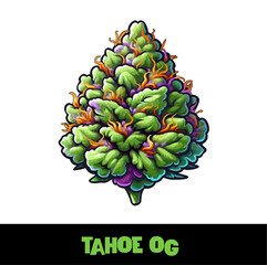 Vector Illustrated Tahoe OG Cannabis Bud Strain Cartoon