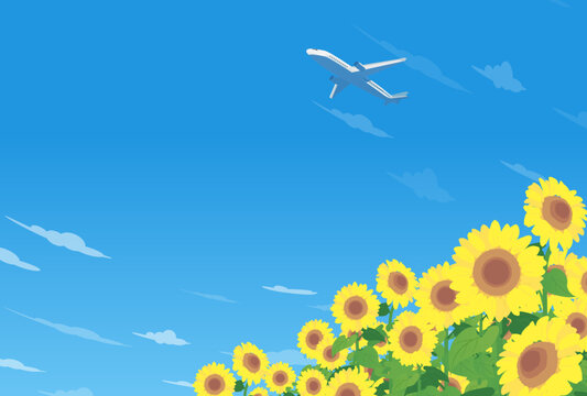 ひまわり畑と夏の青空と飛行機のイラスト