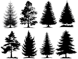 silhouettes of pine trees on white