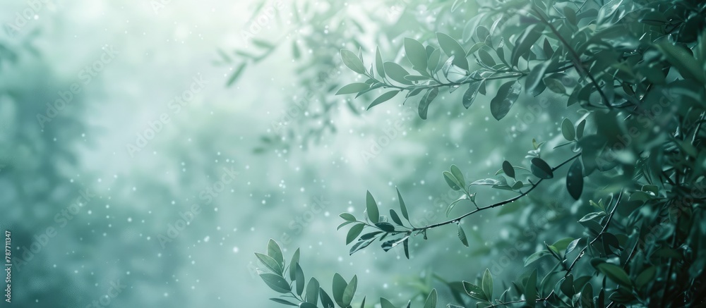 Poster Abstract natural backgrounds in the forest on a foggy morning.