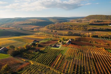 A bird's-eye view of a sprawling vineyard, with neatly rows of grapevines, rustic wineries, and...