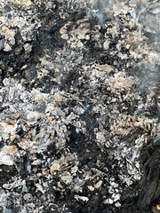 ash and coal in the fire