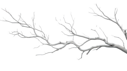PNG Tree branches white drawing sketch.