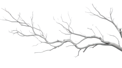 PNG Tree branches white drawing sketch.