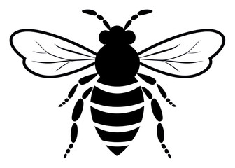 Obraz premium PNG Bee invertebrate stencil andrena.