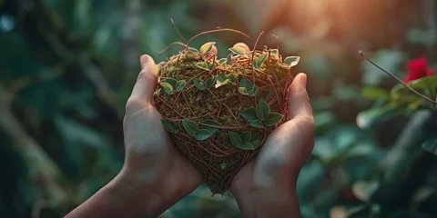 Foto op Canvas A pair of human hands cradle a carefully constructed nest shaped like a heart, filled with vibrant green leaves © gunzexx