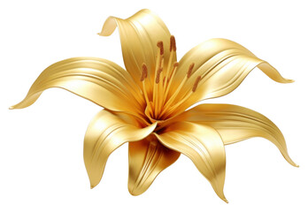 PNG  Lily flower petal plant - obrazy, fototapety, plakaty