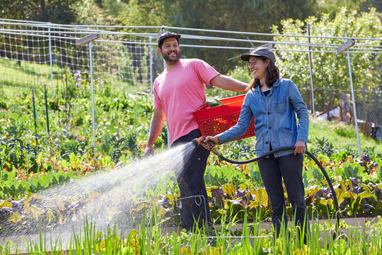 Cute couple working together on their southern California organic farm