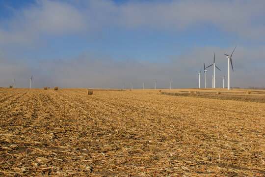 harvested corn field with stover bales