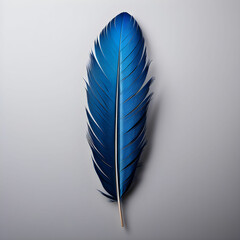 blue feather isolated on transparent background cutout
