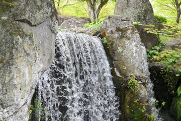 日本庭園を流れる滝