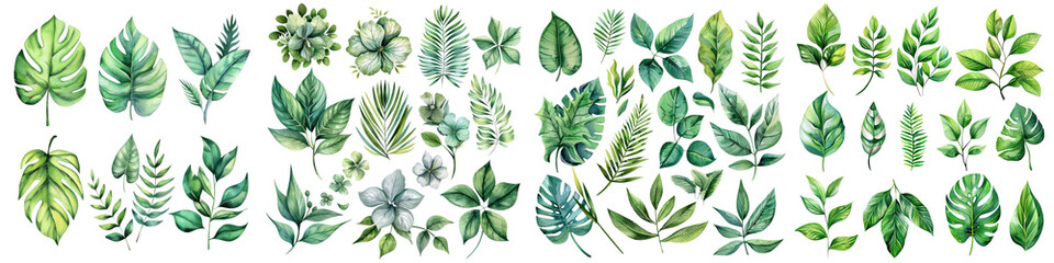 Set of Watercolor Tropical spring green leaves elements   On A Clean White Background Soft Watercolour Transparent Background