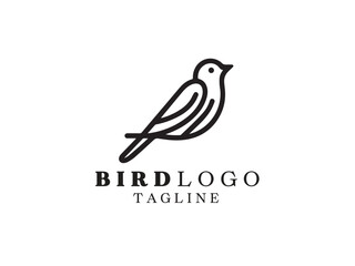 Bird Logo Design Icon Symbol Vector Template