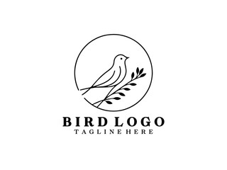 Bird Logo Design Icon Symbol Vector Template