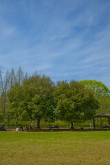 봄 날의 수목원 소풍
