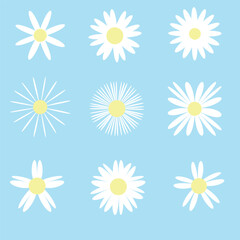 Camomile icon set. White daisy chamomile. Cute round flower plant collection. Growing concept. Love card symbol. Flat design.sky blue background  Isolated.