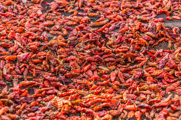 Chilli peppers being dried in Laos