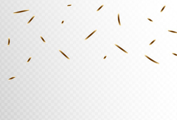 Confetti explosion on a transparent background. Shiny shiny golden paper pieces fly and spread around. vector illustration, small and big