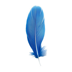 blue feather isolated on white background