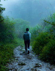 On a rainy and foggy afternoon in summer, a young female hiker walks alone on the damp trail away from Forgotten Forest, a barrier pond formed by earthquake in 1999, in Sun-Link-Sea, Nantou, Taiwan.