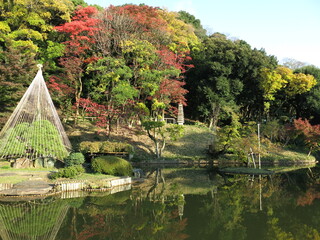 紅葉や雪吊りが美しい文京区の肥後細川庭園（大池・十三重の塔）