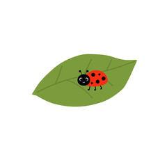 Ladybugs on green leaf