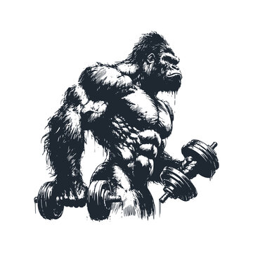 The gorilla fitness. Black white vector illustration.	