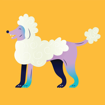 Poodle Vector Illustration