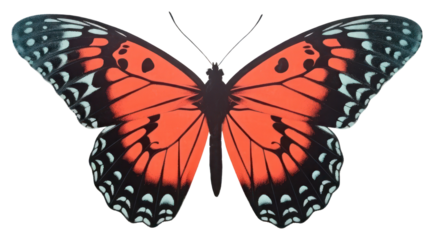 PNG Butterfly animal insect red