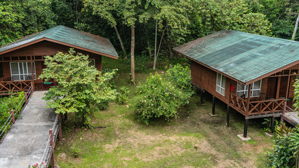 Lodges in the jungle. Wooden one-storey cottages with terraces are located in the rain forest. Concrete footpaths lead to houses on stilts. Malaysia. Borneo. Sandakan.