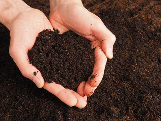 Hands holding nutrient-rich soil in the shape of a heart