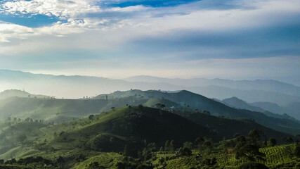 Fototapeta premium A green hills with trees and fog