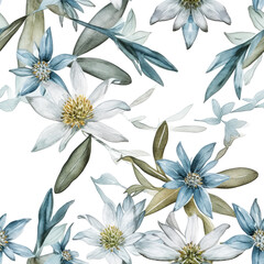 Edelweiss. Mountain flower. Delicate seamless pattern for background, textile design, fabrics. Watercolour illustration on white background. Pastel colours. 