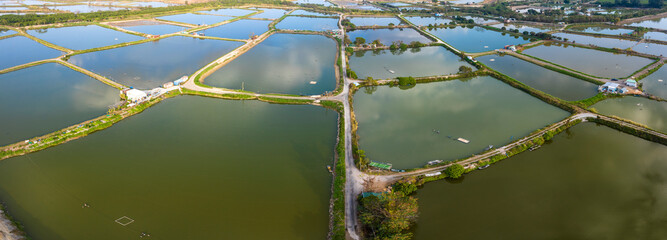Tai Sang Wai Drought Fish Ponds