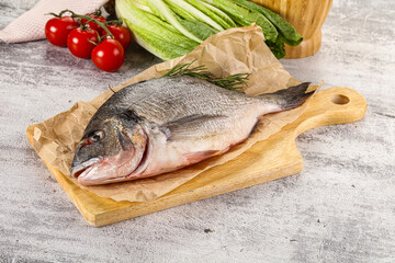 Raw dorada fish served rosemary