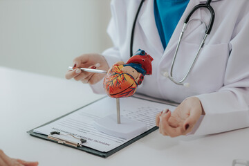 Asian female doctor providing cardiac consultation to male patient Anatomical model of the human heart in the hands of a doctor heart disease treatment medical concept