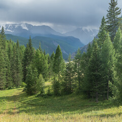Mountain landscape, forest and mountains, contrasting light in cloudy weather