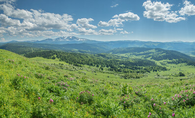 Fototapeta na wymiar Summer greenery of meadows and forests and snow on the peaks, sunny day