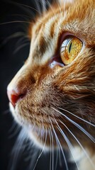 Close-Up Portrait of a Cat