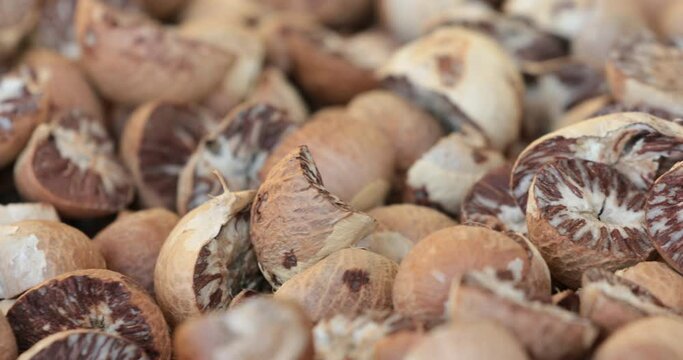 Dried betel nut,Drying Areca Nut background,Process