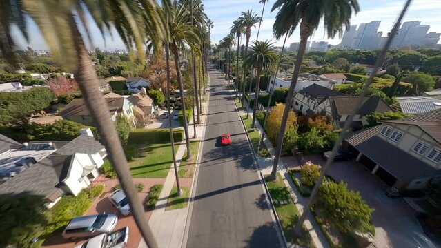 Aerial shot on FPV drone of tall scenic green Palm Trees passing by at sunny blue skies in Los Angeles, California, USA. High quality 4k footage