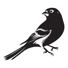 Bird silhouette vector illustration