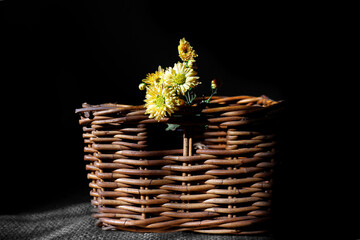 Close up of a beautiful flower in a wicker basket