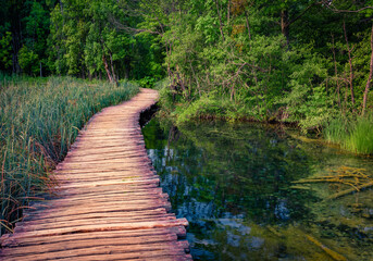 Wooden walkpath in Plitvice National Park. Calm summer scene of green forest with pure water lake. Captivating landscape of Croatia, Europe. Beauty of nature concept background.