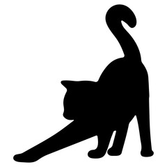 Cat shadow single 22 cute, png illustration.