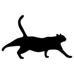 Cat shadow single 17 cute, png illustration.