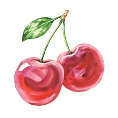 Two cherries isolated on white background hand drawn watercolor illustration