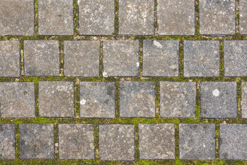 A fragment of an old pavement made of gray antique granite stones of regular square shape. The...