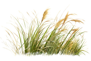 Plant grass tranquility agriculture. AI generated Image by rawpixel.