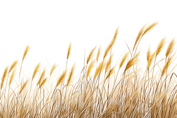Grass plant tranquility vegetation. AI generated Image by rawpixel. - obrazy, fototapety, plakaty